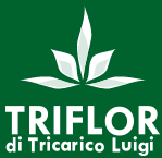 TRIFLOR di Tricarico Luigi - Produtos de floricultura para flores de corte e macetas propagadas a partir de folhas, sementes e meristmas